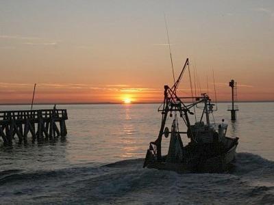 Апартаменты F2 Plages Du Debarquement Гранкан-Мези Экстерьер фото